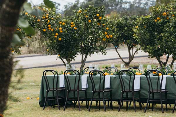 Tables in Orchard